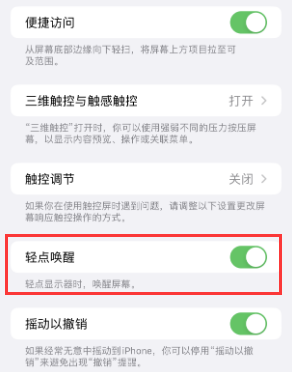 汕尾苹果授权维修站分享iPhone轻点无法唤醒怎么办 