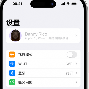 汕尾appleID维修服务iPhone设置中Apple ID显示为灰色无法使用 