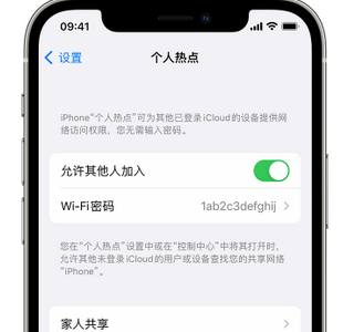 汕尾apple服务站点分享iPhone上个人热点丢失了怎么办 