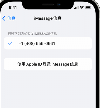 汕尾apple维修iPhone上无法正常发送iMessage信息 