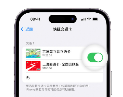 汕尾apple维修点分享iPhone上更换Apple Pay快捷交通卡手绘卡面 