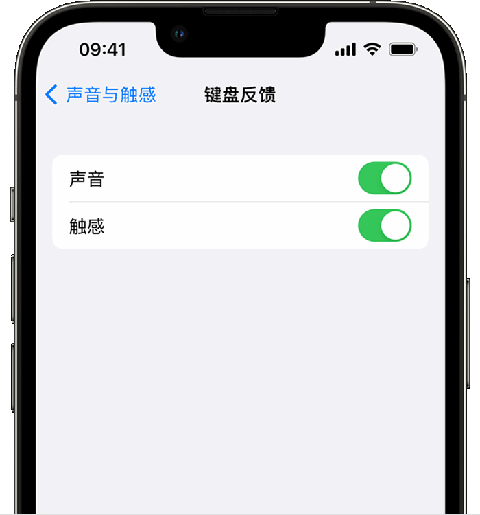 汕尾苹果14维修店分享如何在 iPhone 14 机型中使用触感键盘 