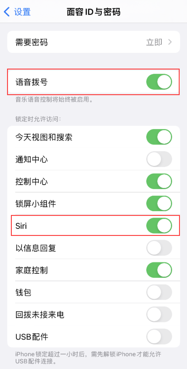 汕尾苹果维修网点分享不解锁 iPhone 的情况下通过 Siri 拨打电话的方法 