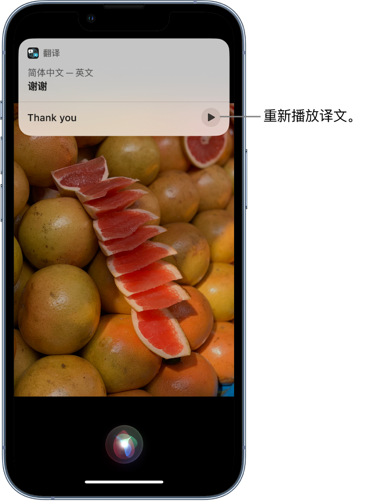 汕尾苹果14维修分享 iPhone 14 机型中使用 Siri：了解 Siri 能帮你做什么 