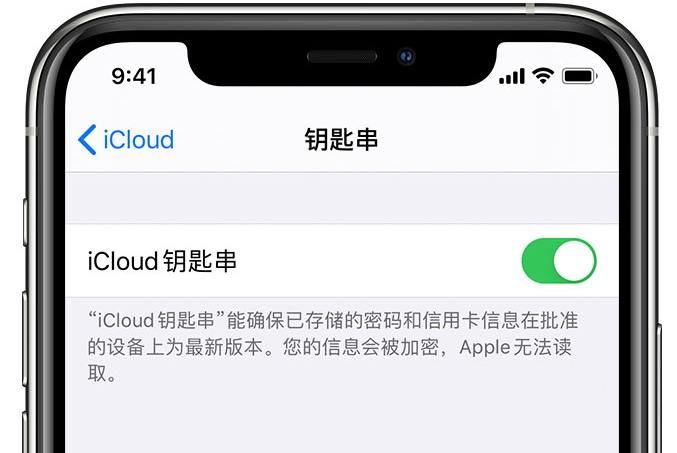 汕尾苹果手机维修分享在 iPhone 上开启 iCloud 钥匙串之后会储存哪些信息 