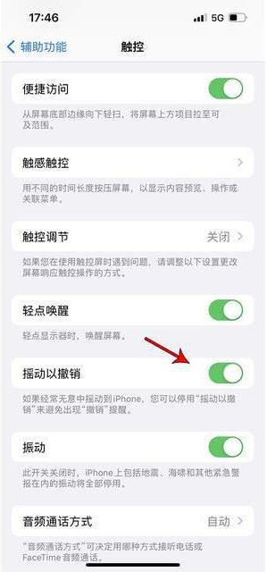汕尾苹果手机维修分享iPhone手机如何设置摇一摇删除文字 