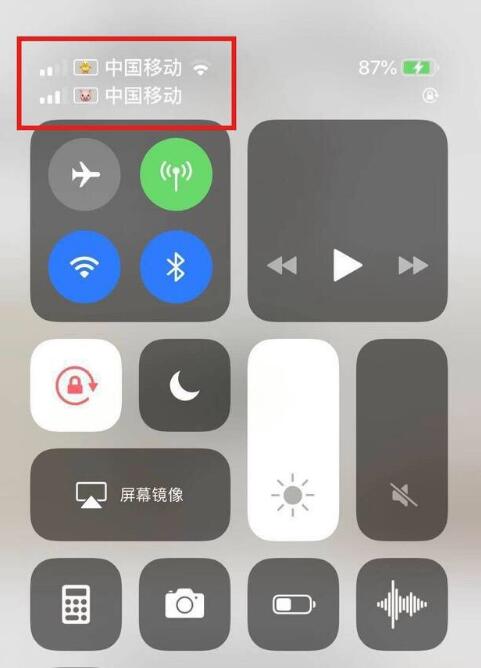 汕尾苹果手机维修分享为 iPhone 12 双卡设置标签 